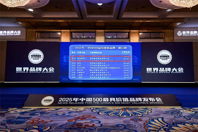 九游体育轮胎荣登 “中国 500 最具价值品牌”——灯塔工厂铸就前进品牌价值新高度